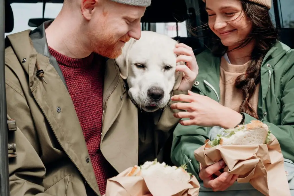 Smiling couple shares a moment with their Labrador retriever during an outdoor picnic.