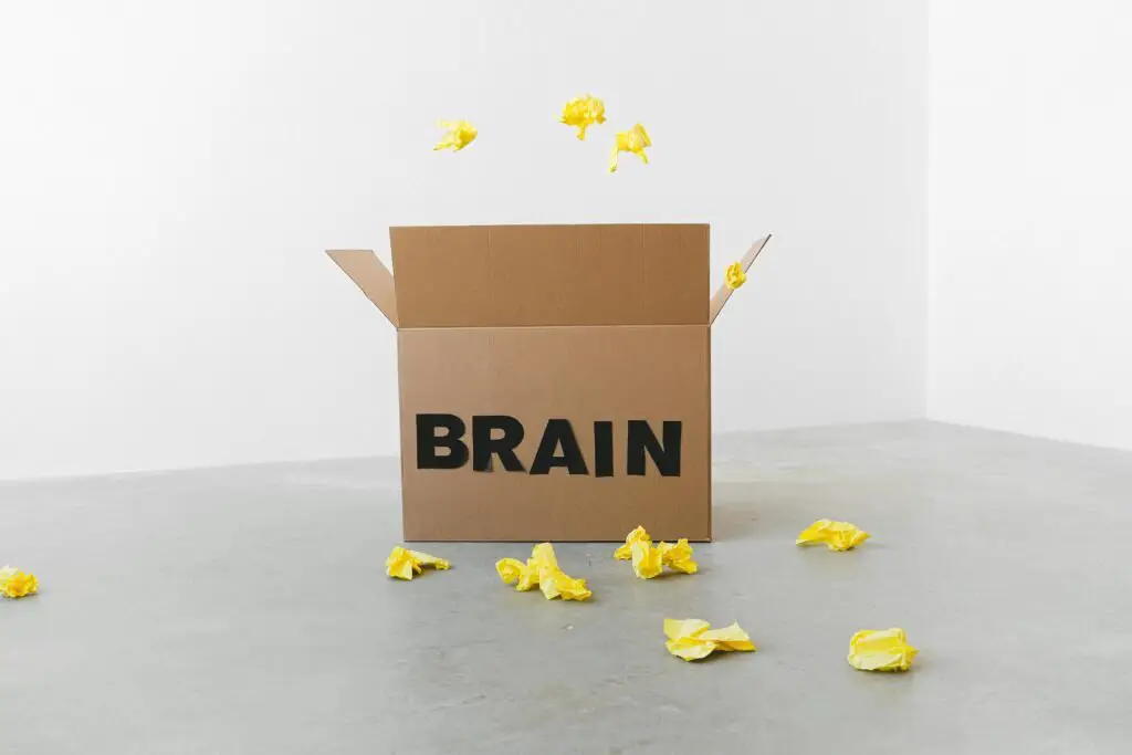 Crumpled yellow paper pieces on floor near carton box with Brain title on white background